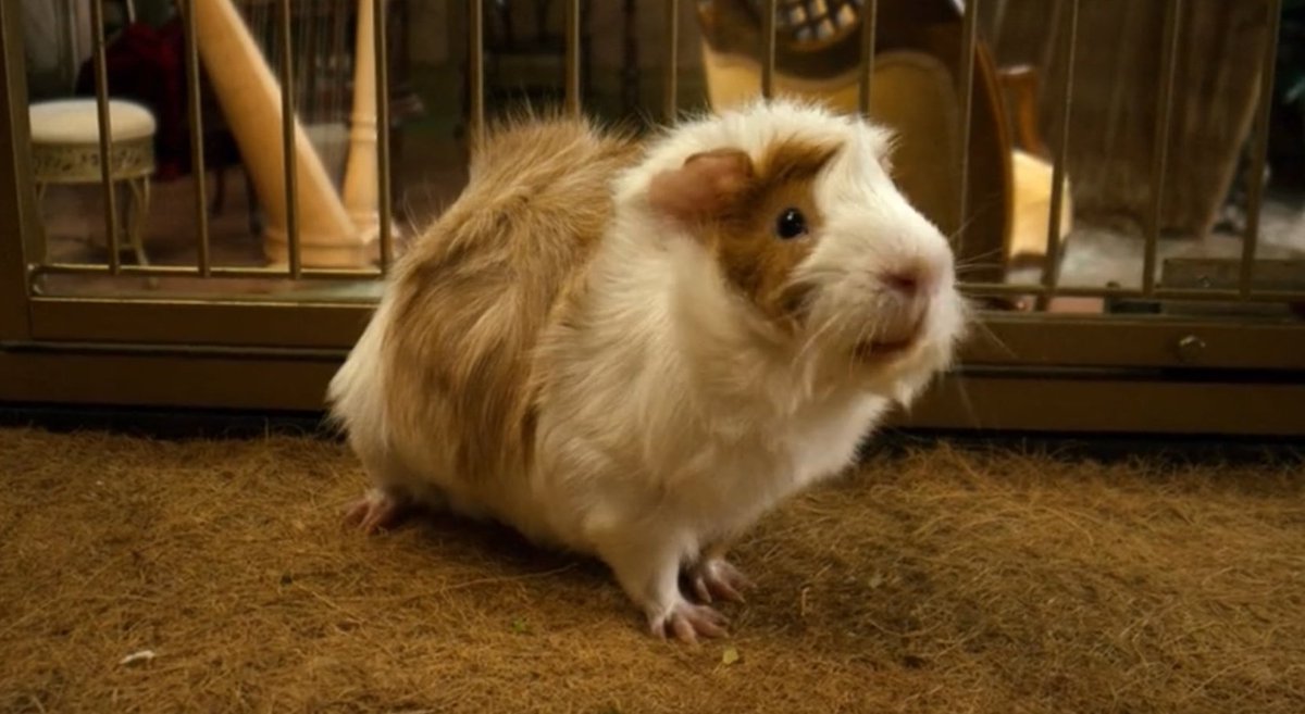 그래도 최고의 시즌2 장면이였음