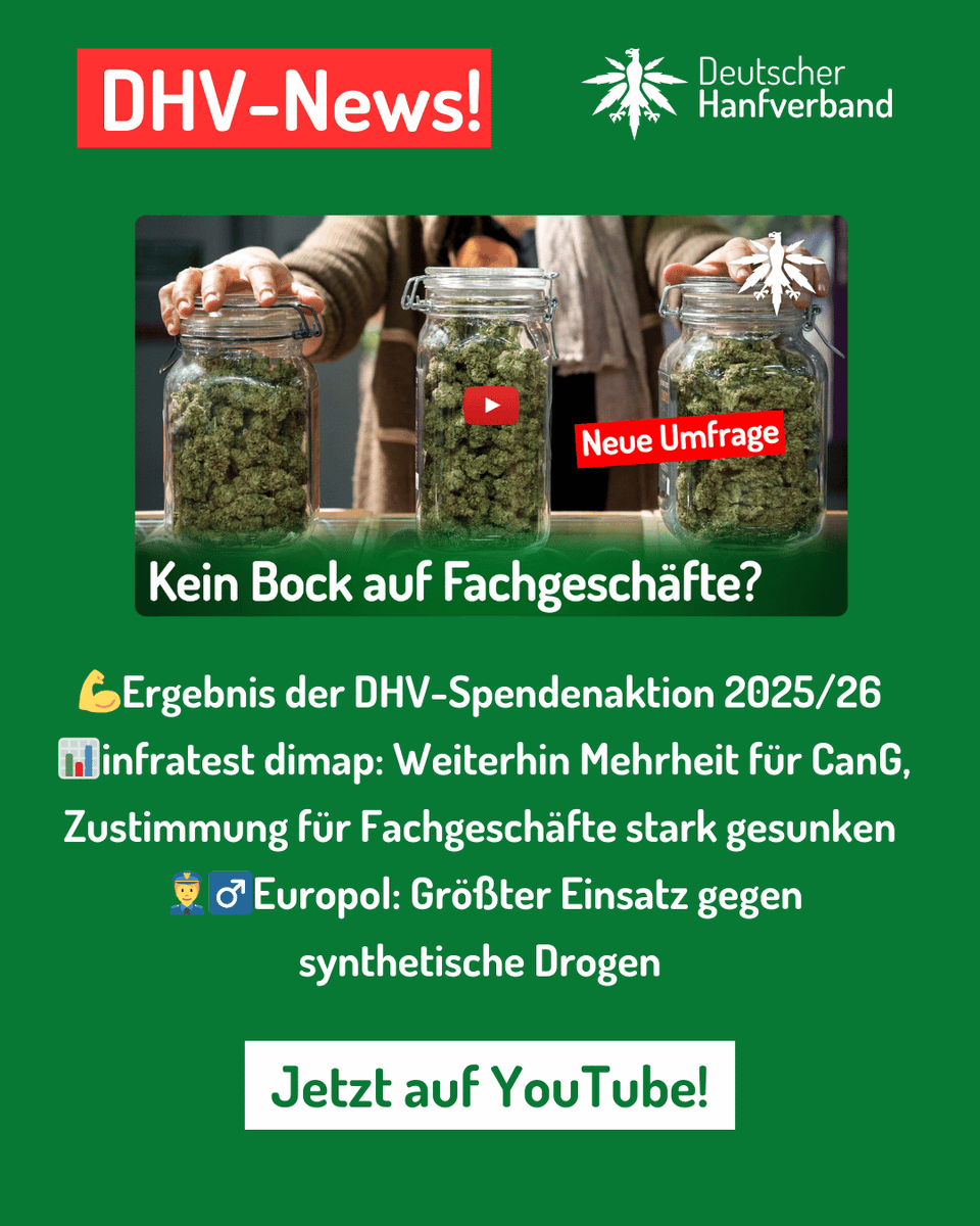 Die DHV-News vom 23.01.2026
💪Ergebnis der DHV-Spendenaktion 2025/26
📊infratest dimap: Weiterhin Mehrheit für CanG, Zustimmung für Fachgeschäfte stark gesunken
👮‍♂️Europol: Größter Einsatz gegen
synthetische Drogen
Jetzt auf Youtube!
youtu.be/L-dNDYRdiRI