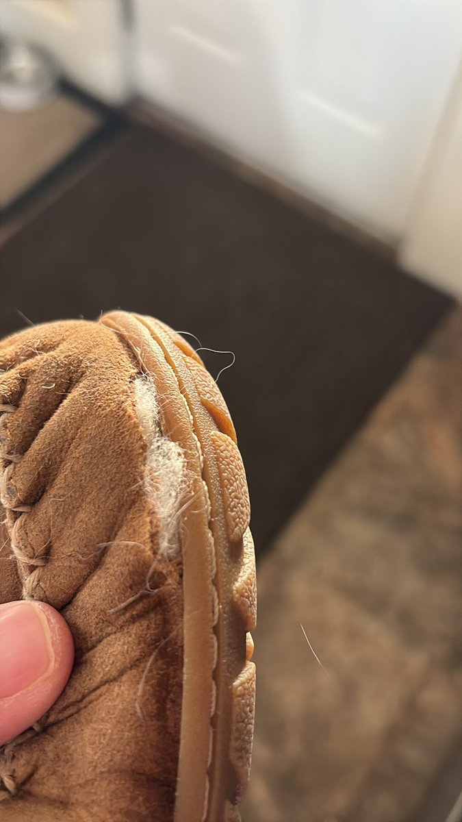 Ross Gorham tweet media