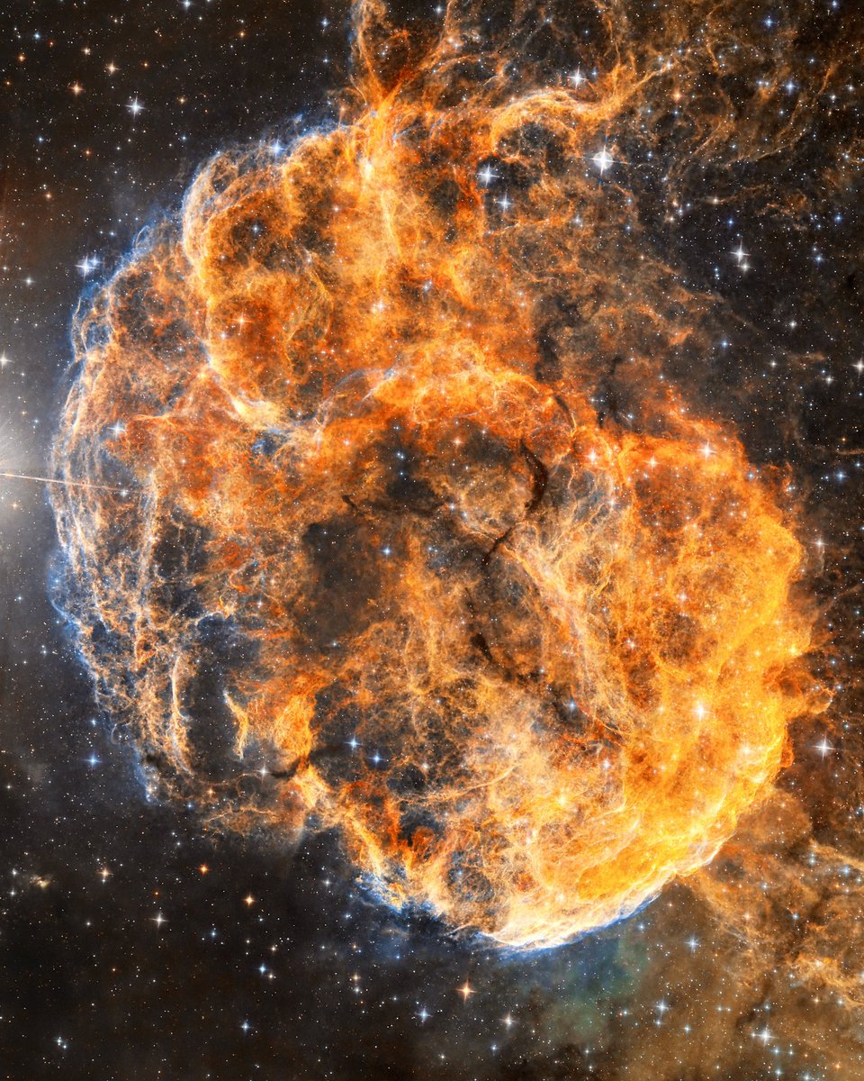 It’s hard to find something quite so fascinating as a dying star

This photo was captured using a relatively cheap telescope from my light-polluted backyard.