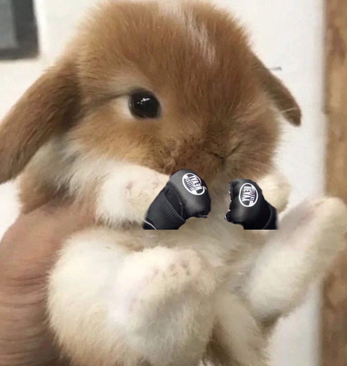 randomr22's tweet image. 🖤