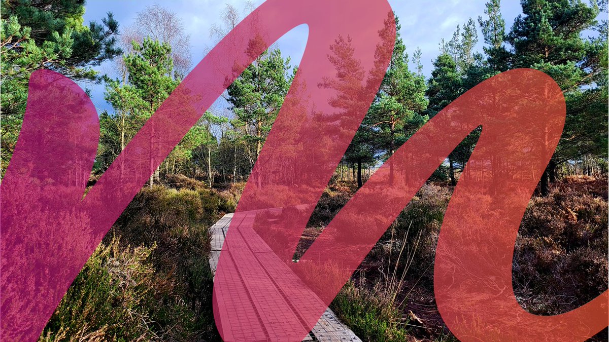 MidlandsIreland.ie tweet media