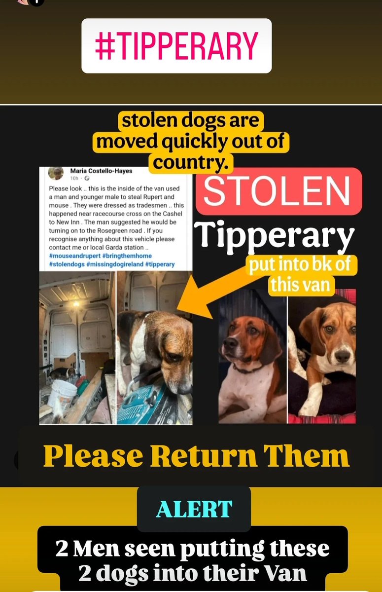 Lisa O' Connor (Animal Advocate) tweet media