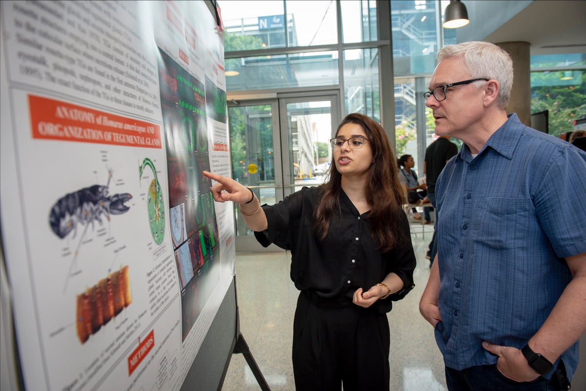 GSU Brains & Behavior tweet media