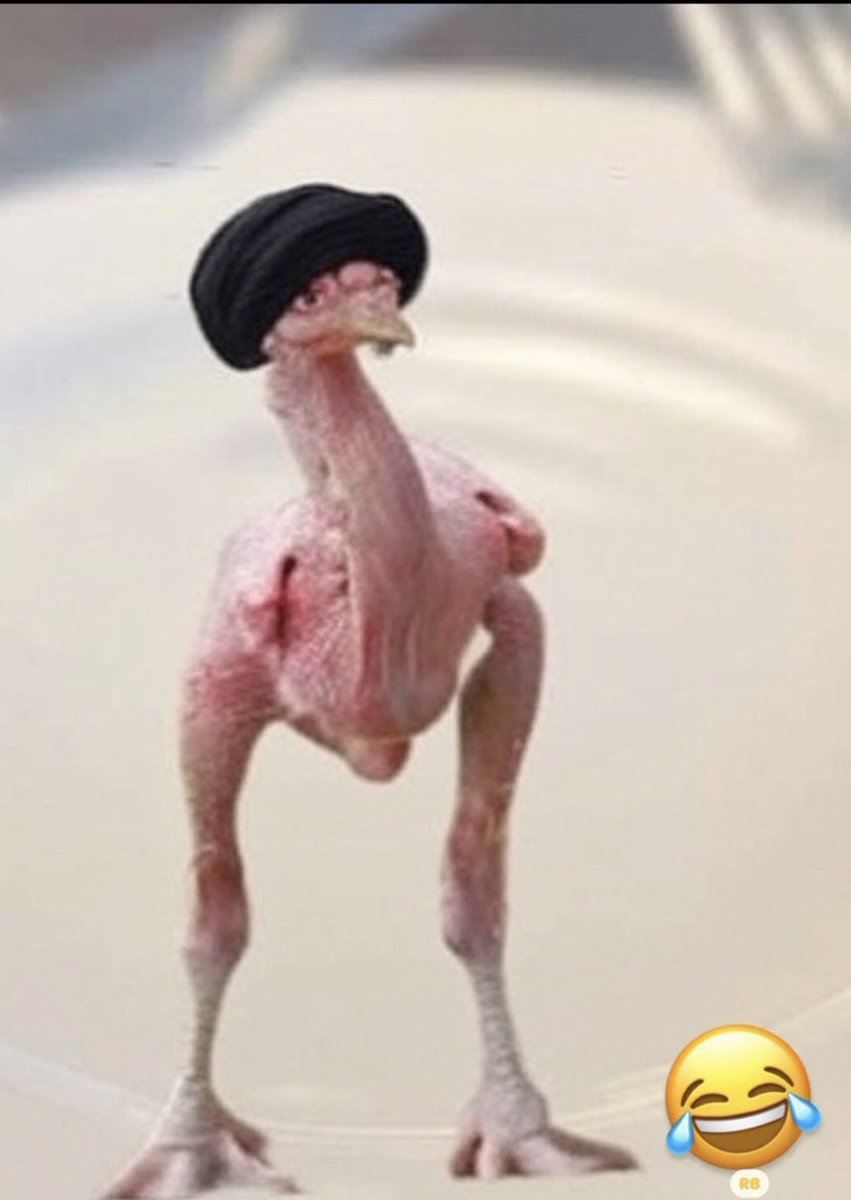 Rayliok's tweet image. الدياية اللي يتكلم عنها