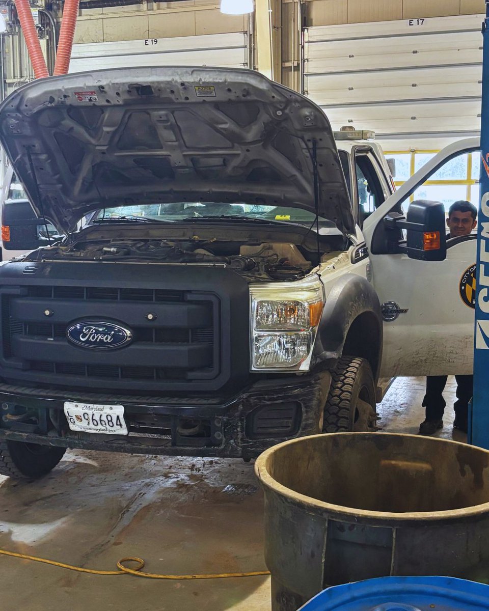 BaltimoreDGS tweet media