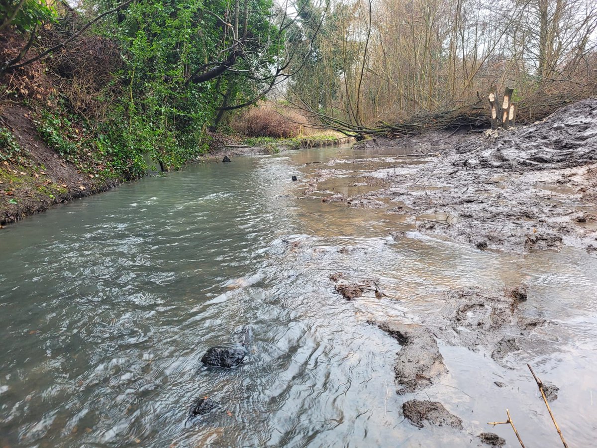 Mersey Rivers Trust tweet media