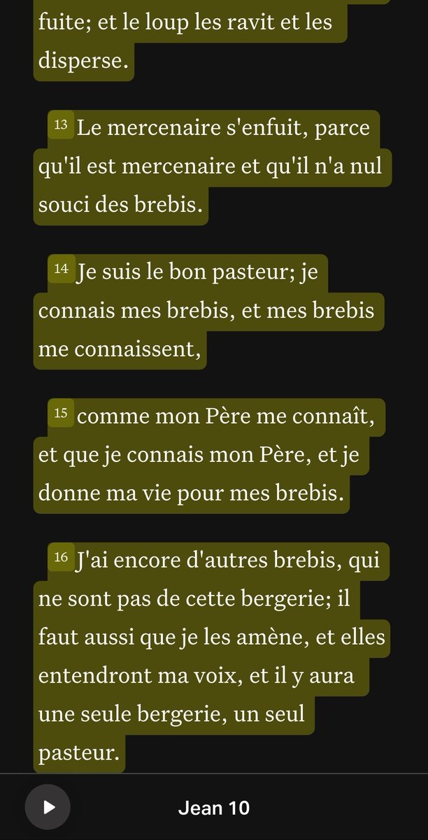 Les notes de Lumen Gentium sont un long rappel que l’Église est une seule, que des ennemis sont entrés pour dispersés les brebis mais qu'à la fin, toute reviendrons dans la seule vraie Église.

Une Sainte Catholique et Apostolique