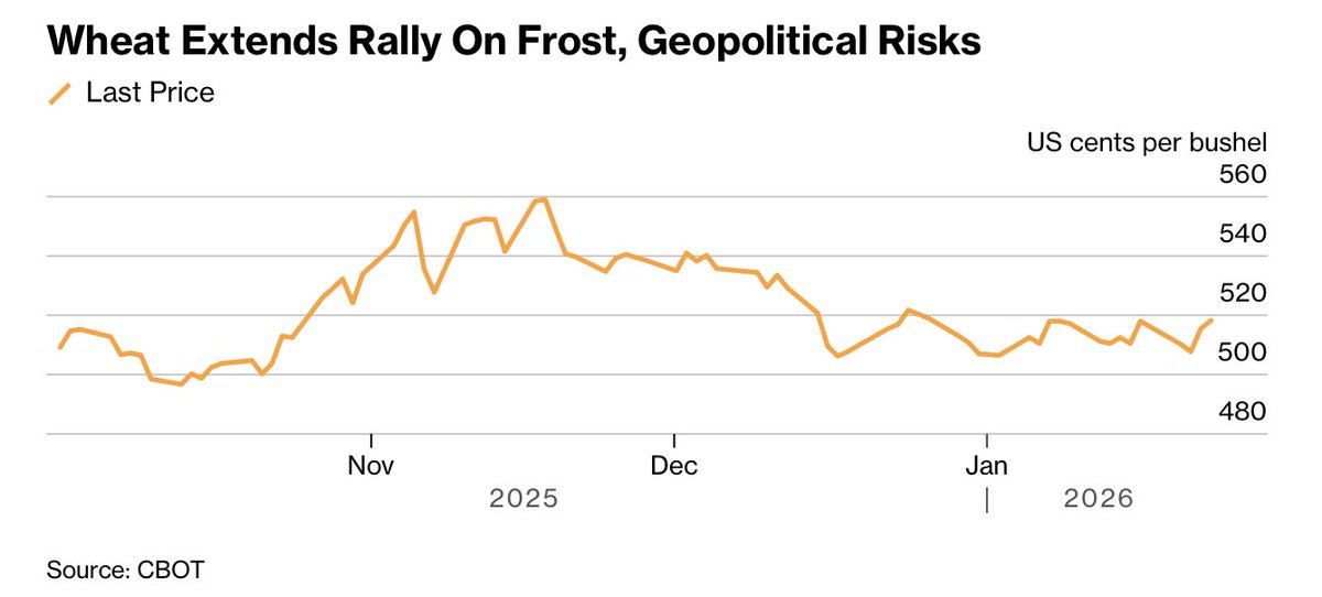 GoodFarmView's tweet image. #Wheat futures rose for a second day in Chicago amid concern freezing weather in the US and Russia could damage crops, while traders kept an eye on geopolitical tensions bloomberg.com/news/articles/…