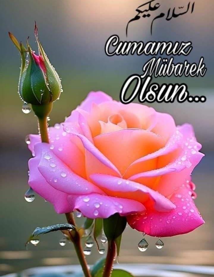 "Mü'min 
güzel koku satan kimseye benzer. Onunla beraber otursan 
sana faydası olur,
beraber yürürsen 
sana faydası olur,
beraber iş yaparsan 
yine faydası olur."
Taberâni, M.Kebir,12,319