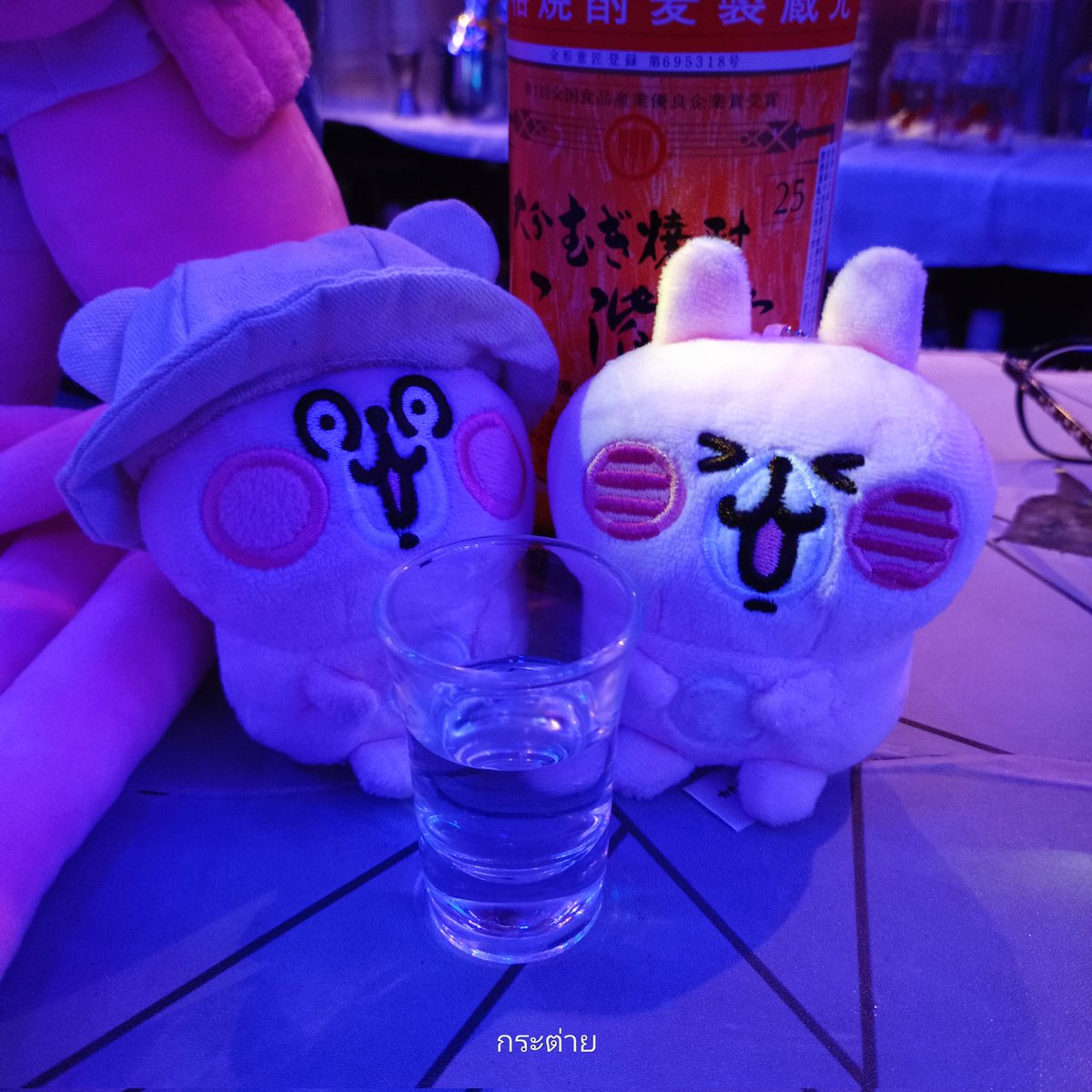 君たち、酔っ払ったら置いて帰るからね!