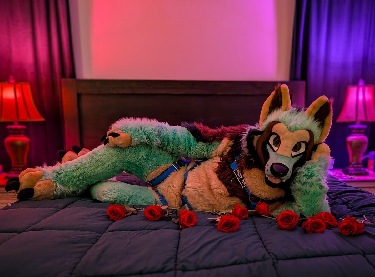 Cobanyte's tweet image. Good morning... #FursuitFriday