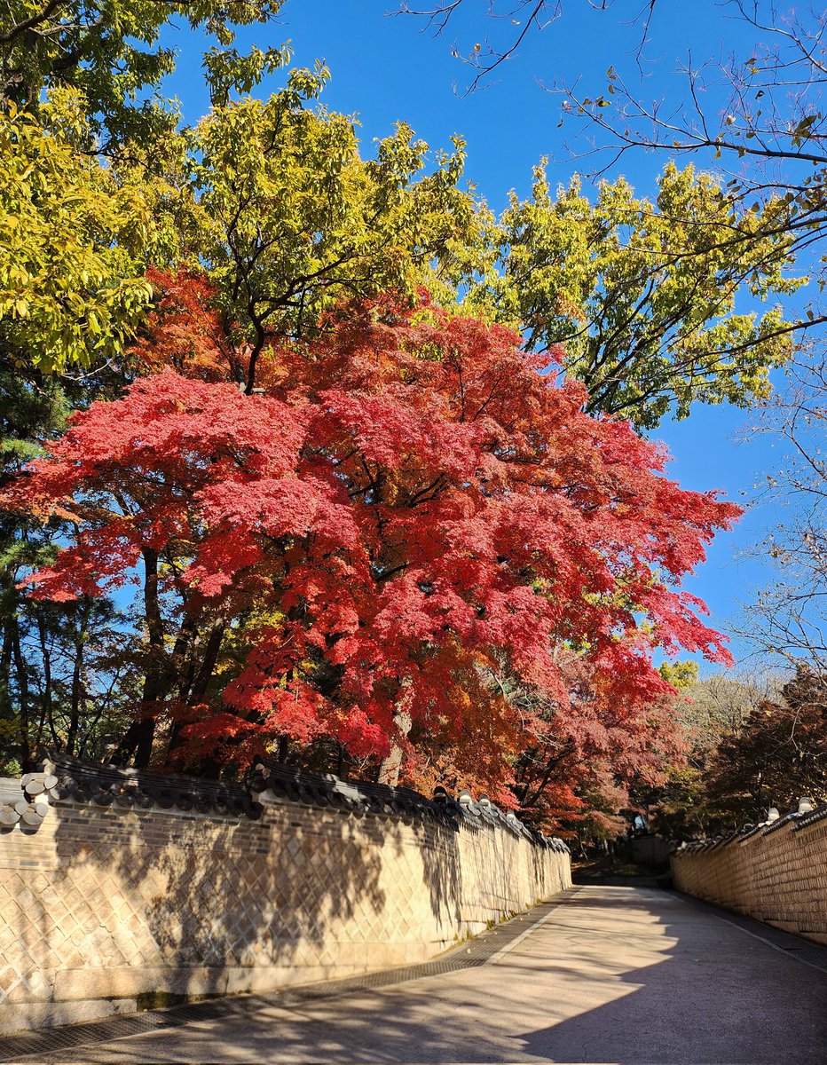 dd_ramiii's tweet image. 계절마다 시선이 머무른 풍경📷