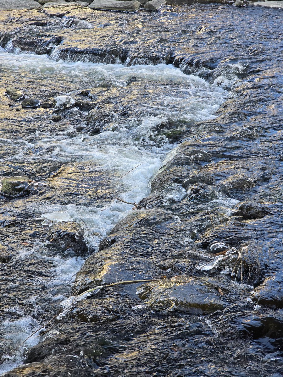 dd_ramiii's tweet image. 계절마다 시선이 머무른 풍경📷