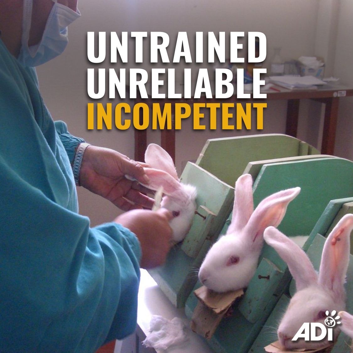 AnimalDefenders's tweet image. Some of the non-compliance cases from the new 2024 ASRU report:
💉 Procedures performed on pregnant mice
💉 Animals left without food or water for days
💉 Live animals mistakenly put in bins

None of these cases received more than a letter of reprimand.
#endsuffering #crueltyfree
