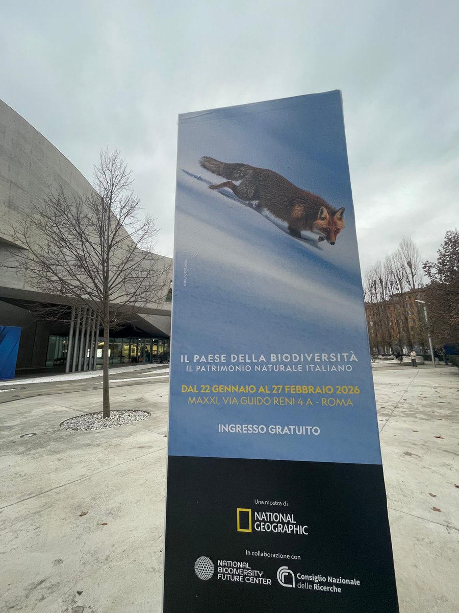 MelloneUgo's tweet photo. This year, our exhibition "Il paese della biodiversità", curated by @NatGeo Italia in collaboration with the National Research Council, finds its home in one of Italy’s most influential spaces for contemporary visual art: the MAXXI in Rome. https://t.co/bxCo9gSarz