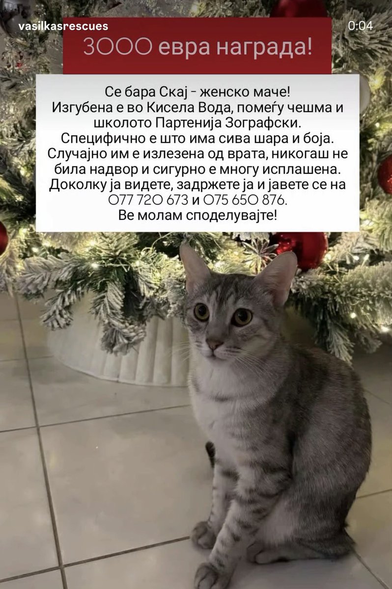 Дечки ај малце акција