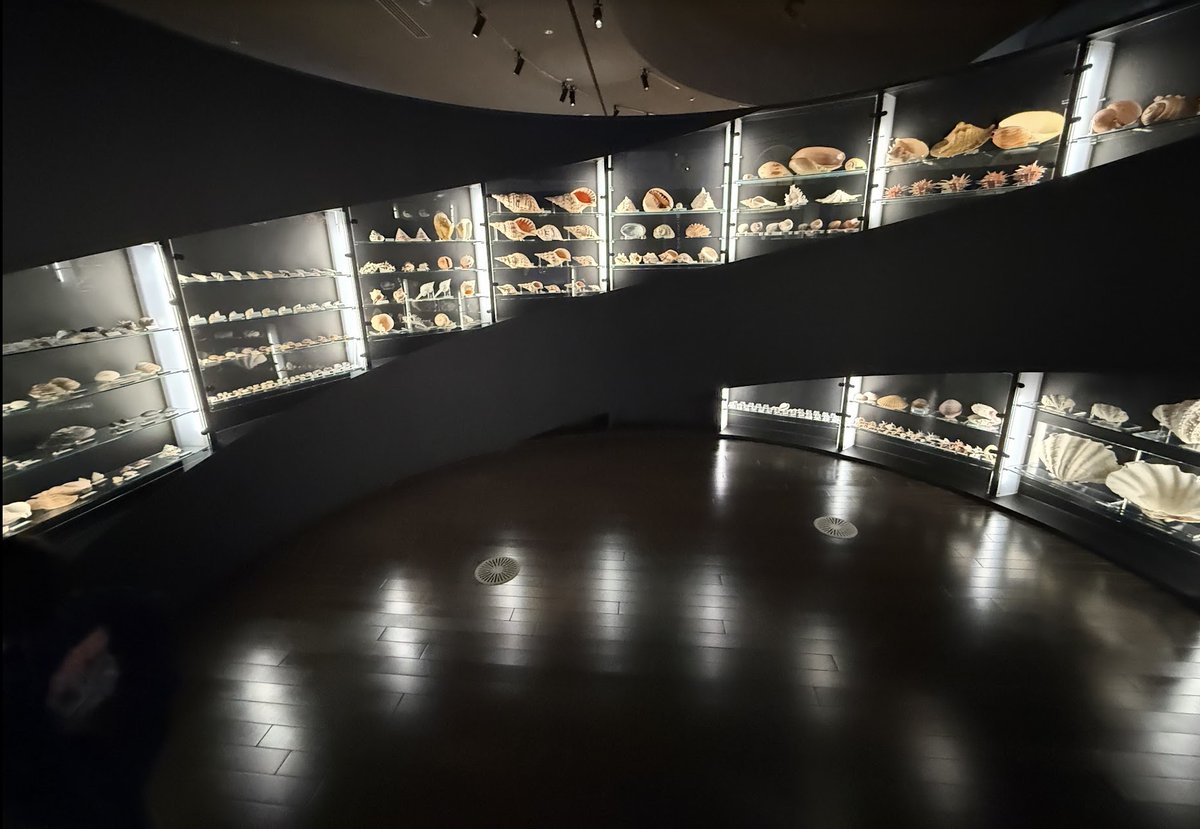 行きたいなぁ。