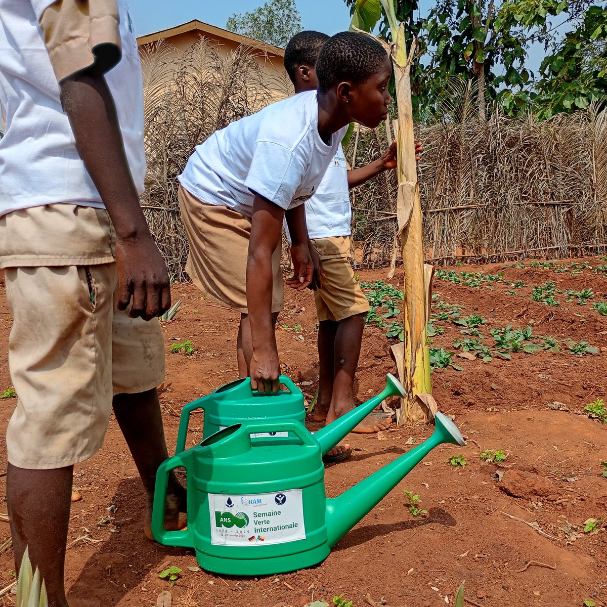 FORAM Initiatives tweet media