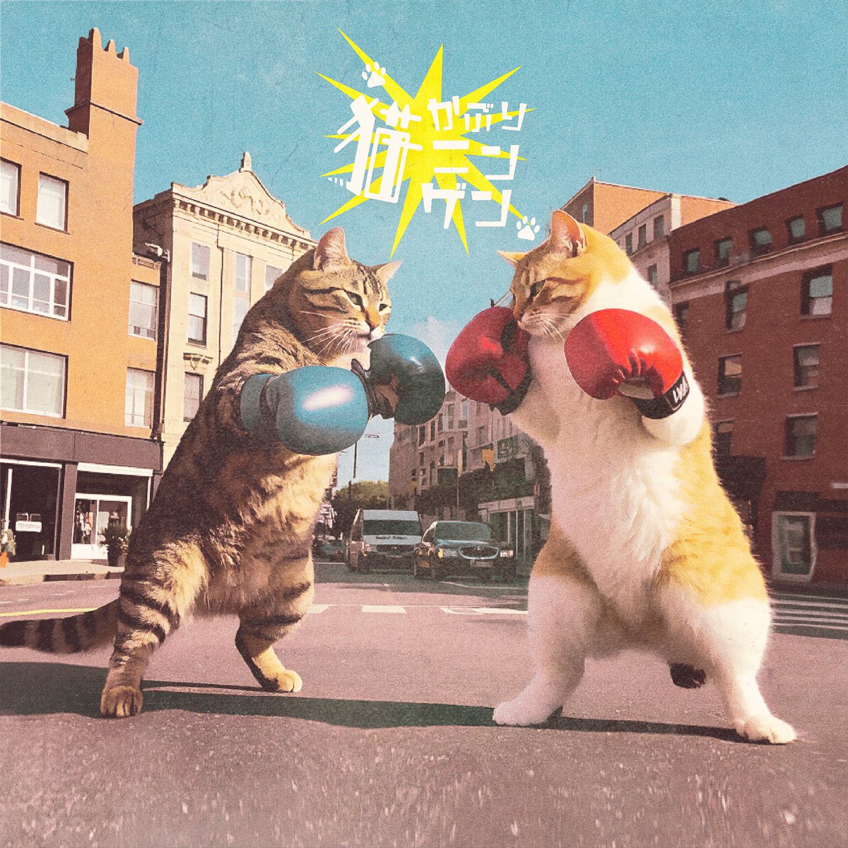 iLL MIDNIGHT RECORDS tweet media