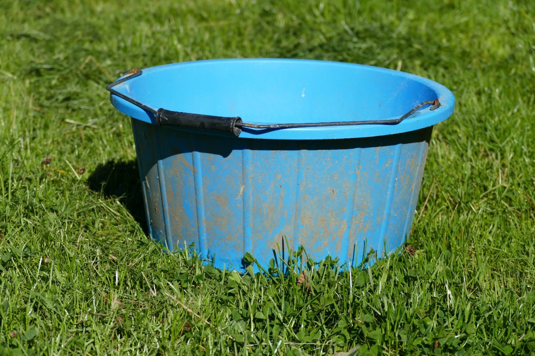 Debbie Kingsley tweet media