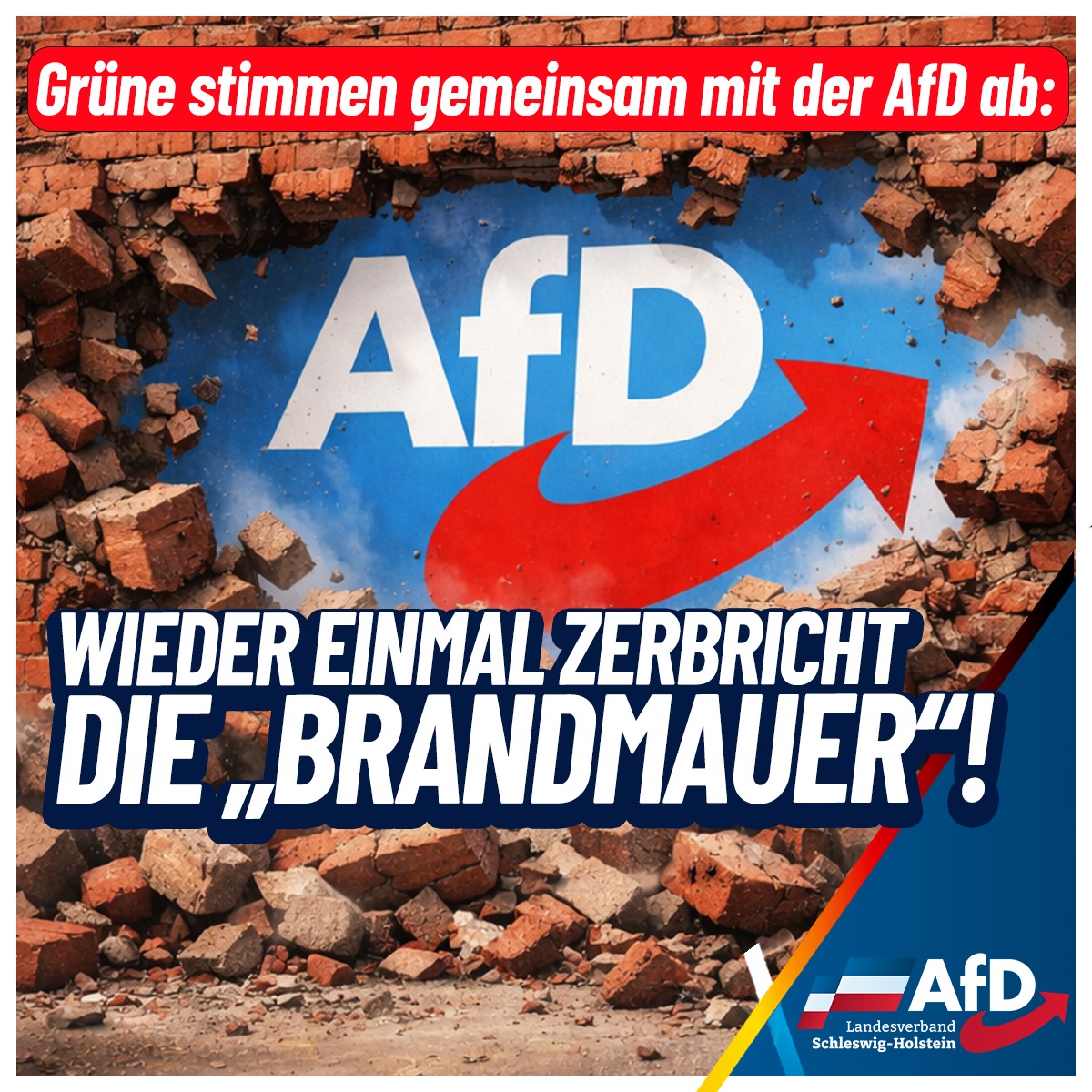 AfD Schleswig-Holstein tweet media