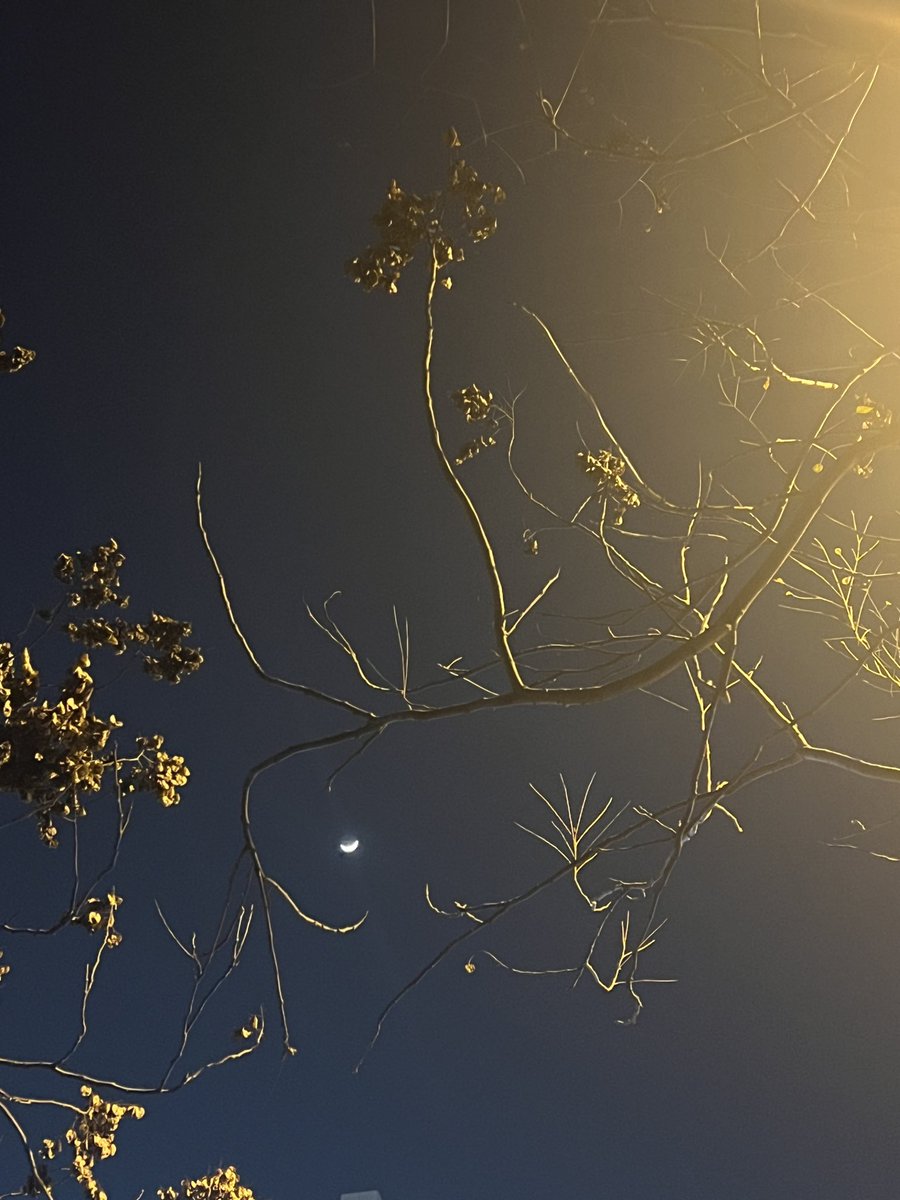 你还好吗
#文彬