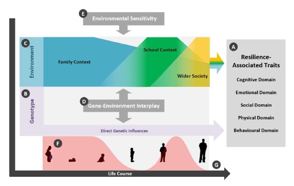 New paper alert! We wrote a conceptual paper presenting a new developmental model for resilience-associated traits. The paper is available Open Access: journals.sagepub.com/doi/epdf/10.11… #Resilience