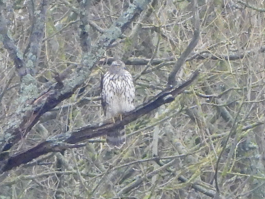 Paul Masters tweet media