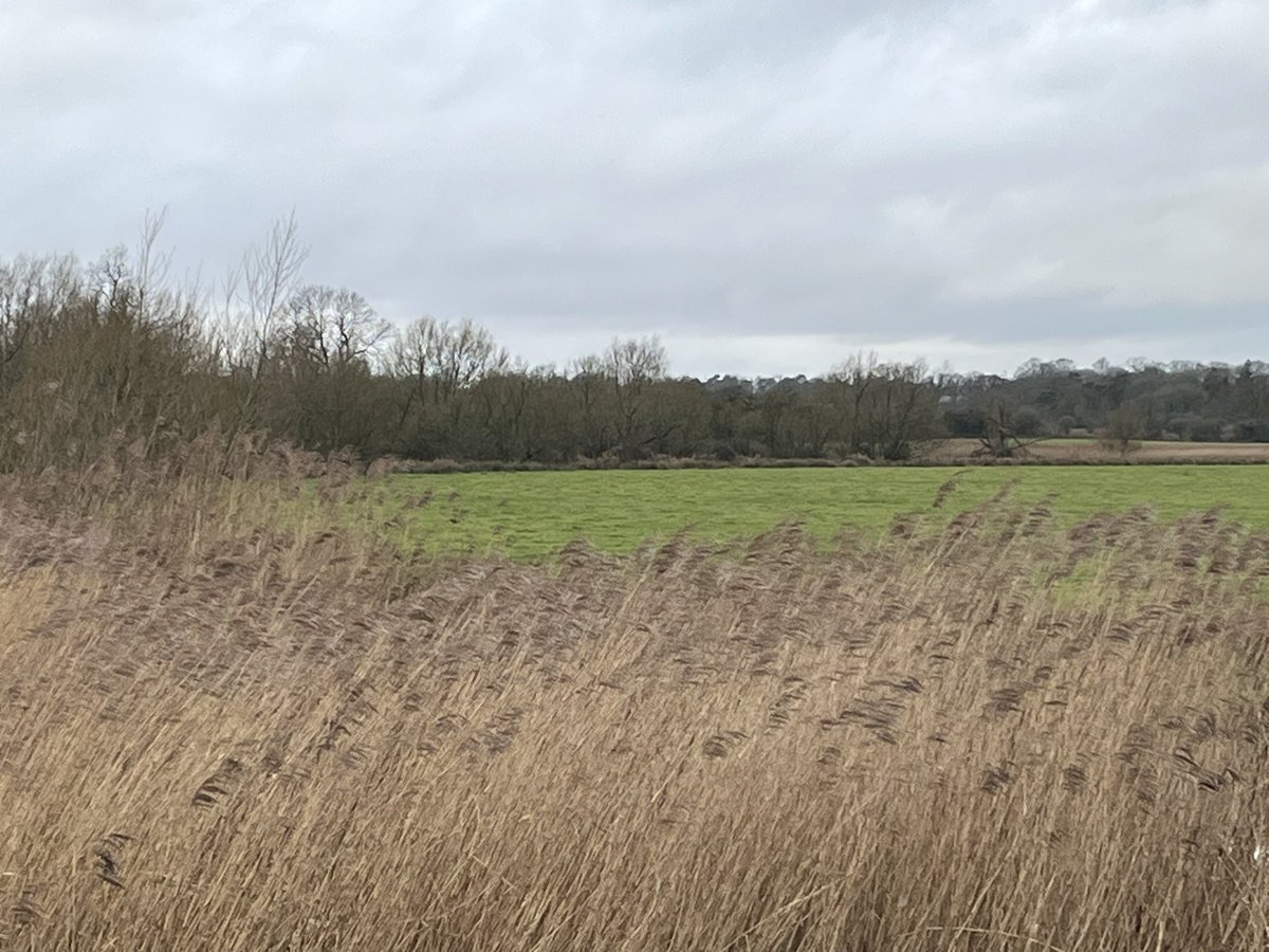 Paul Masters tweet media