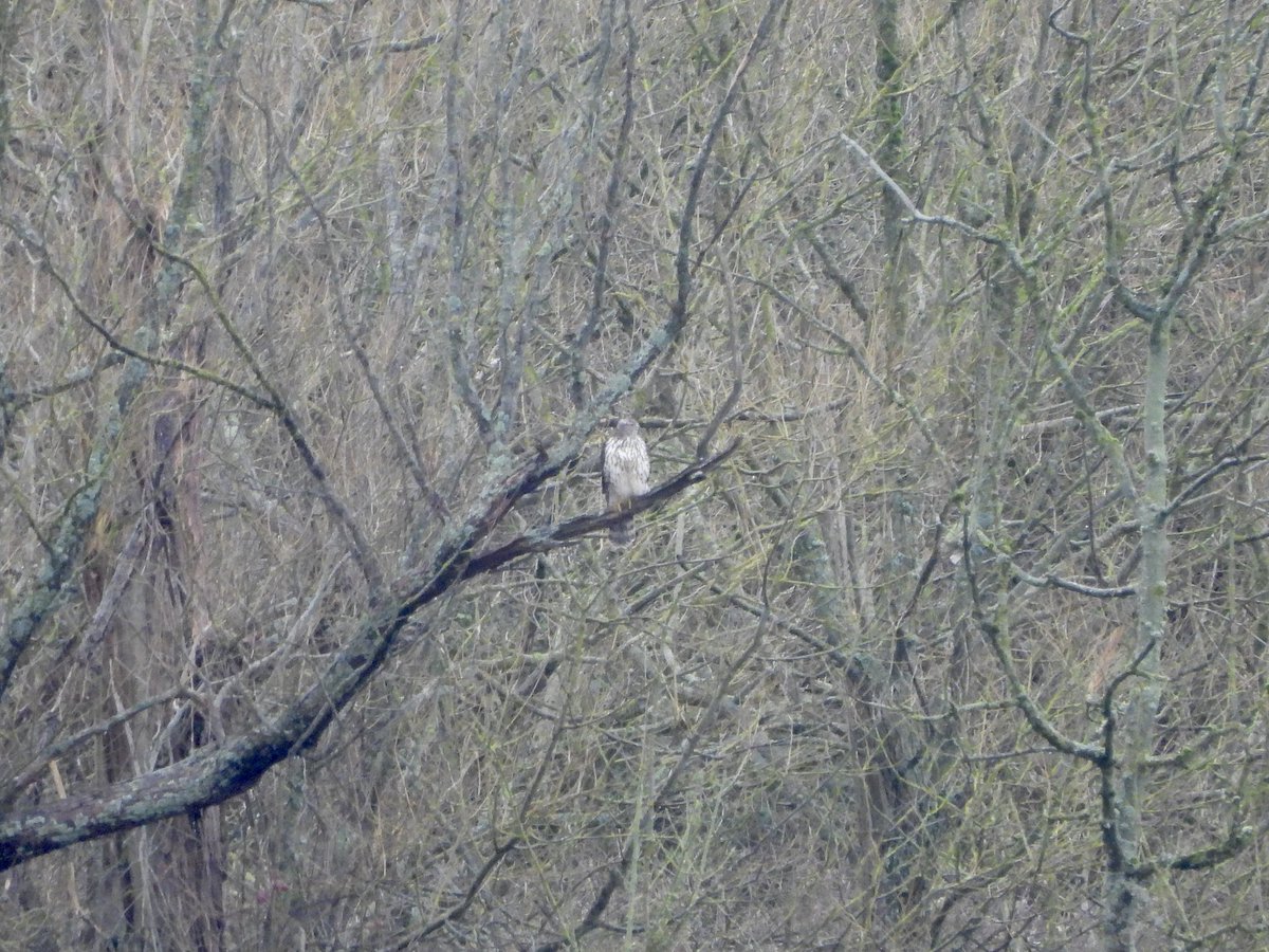 Paul Masters tweet media