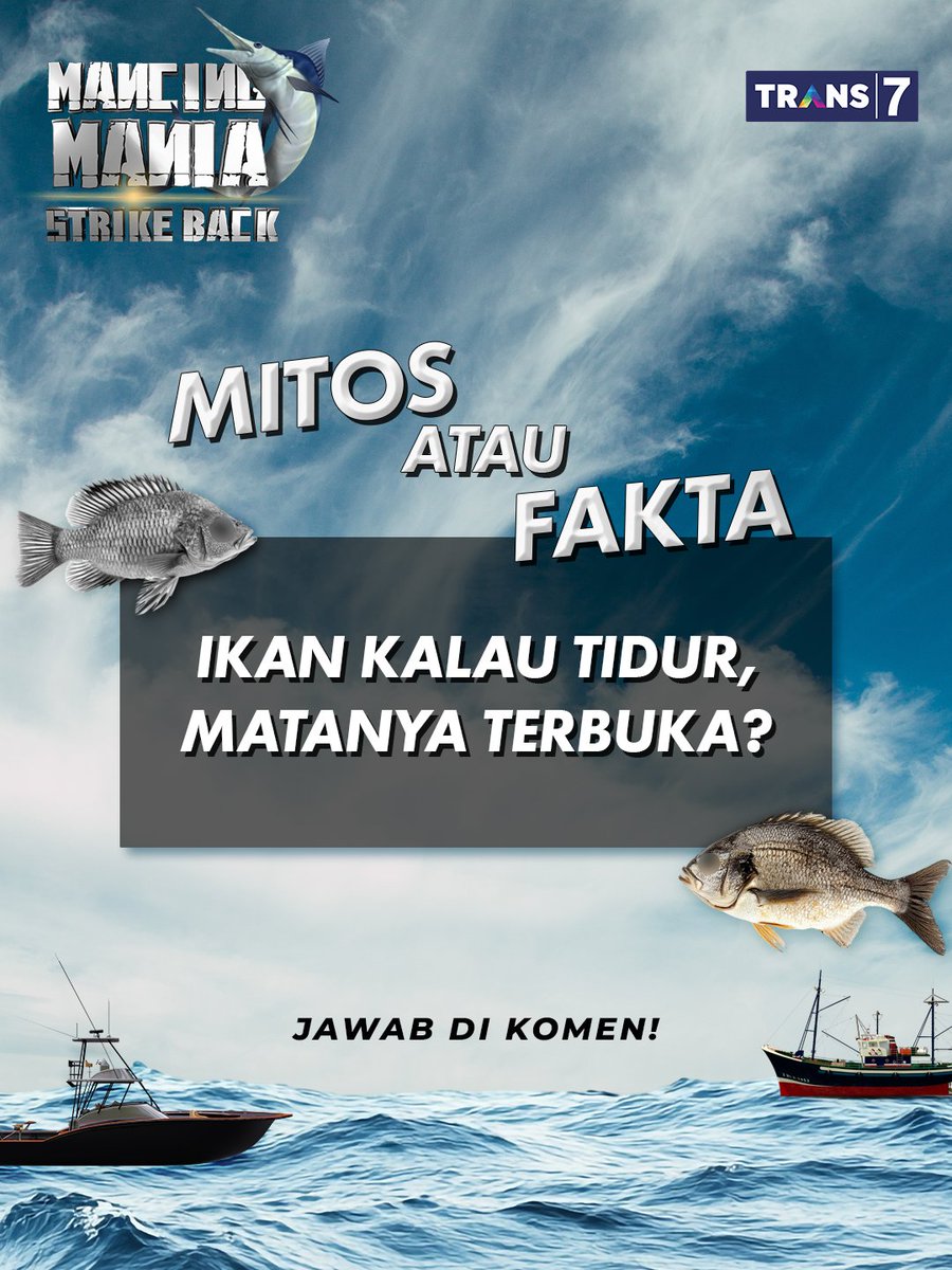 TRANS7's tweet image. Siapa yang pernah liat ikan tidur?🙋🏻‍♀️

#TRANS7Zone