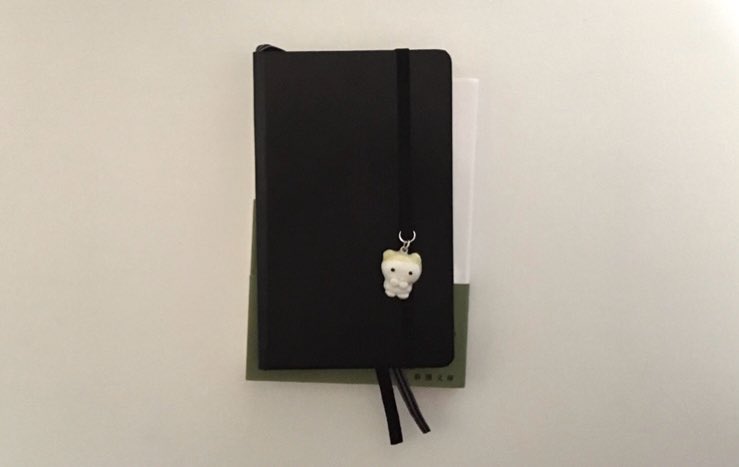 올해는 로이텀❕