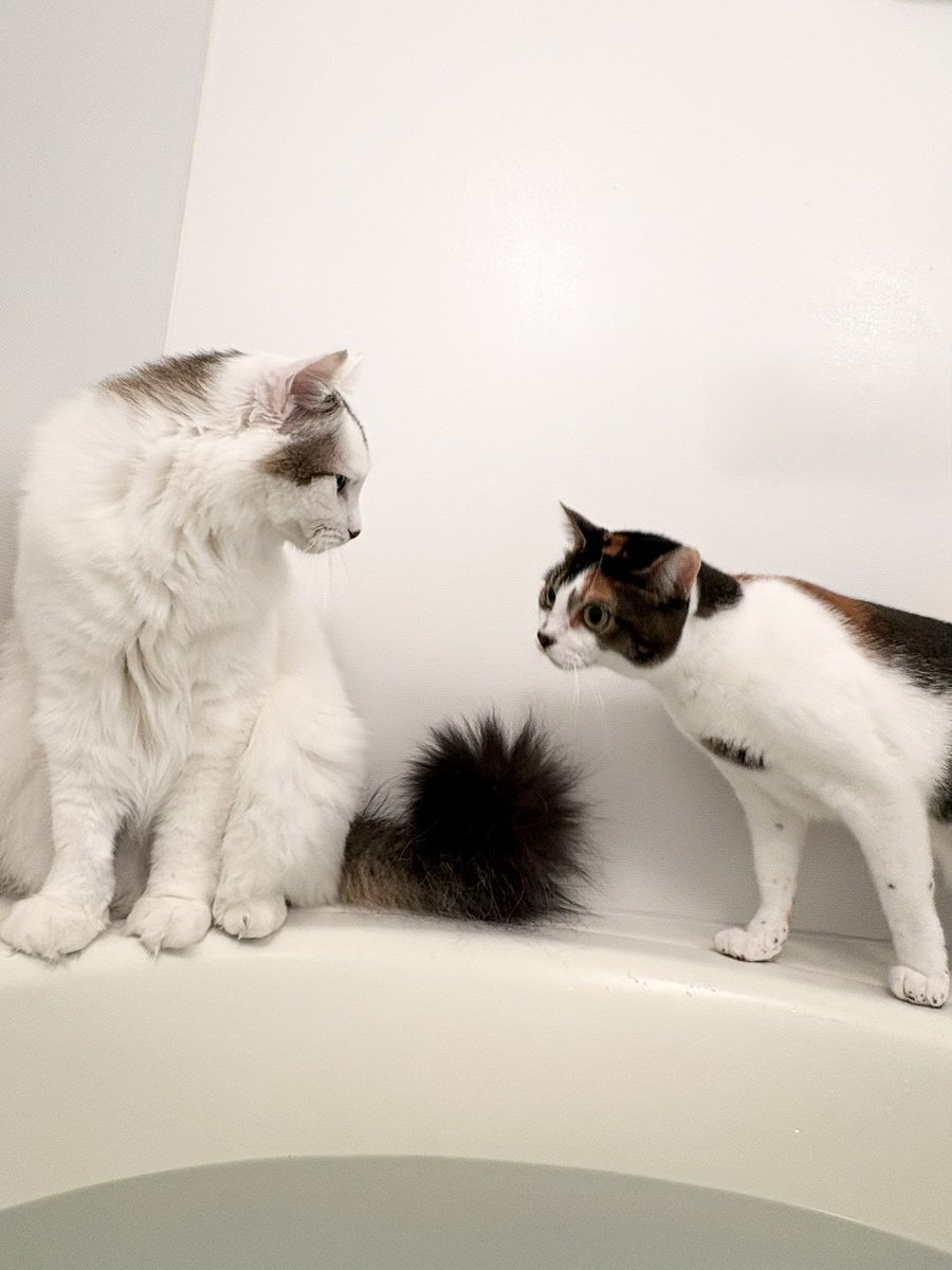 除き魔2人がついに大胆行動へ笑