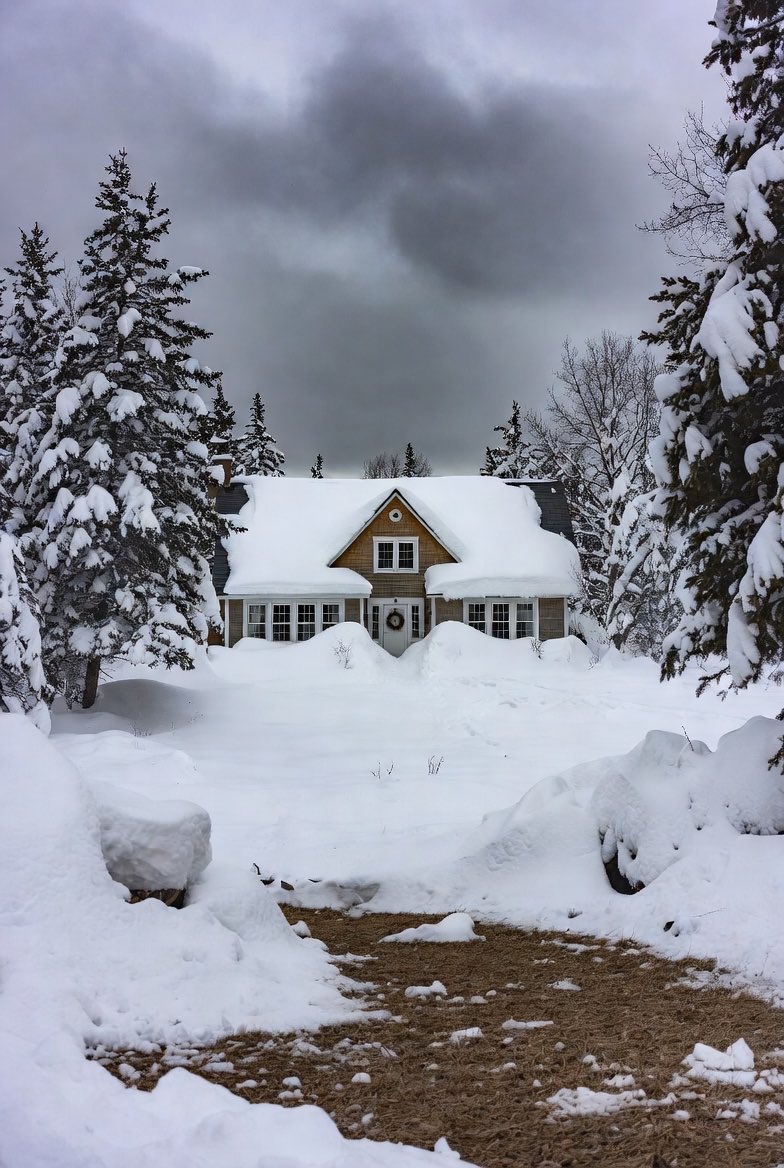 Good morning. Only about 100 people attended Justin's speech in Davos, even though Katy Perry was with him. Some Canadians thought he was a good leader and elected him three times. Carney had a few hundred attending, while Trump had well over 1,000 in a packed hall. Canadian