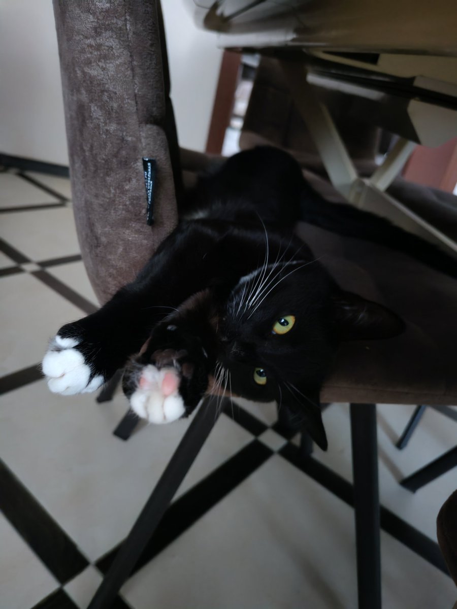 InnaEdgn's tweet image. Ку ку