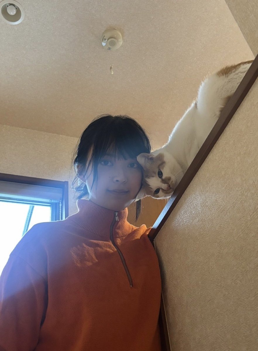725_p_'s tweet photo. すっぴんだしボッサボサだけど
最近の写真で一番好き
猫との暖かな日々 https://t.co/HVKt8yGpBG