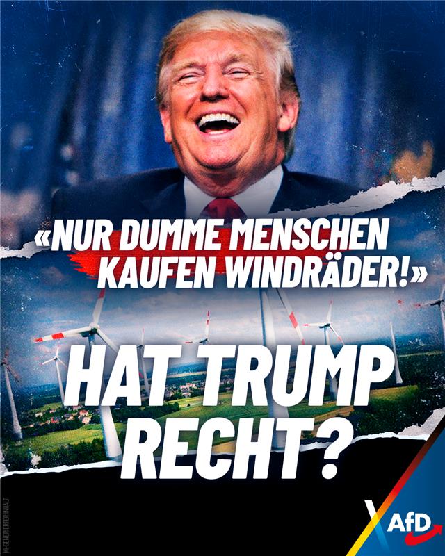 AfD tweet media