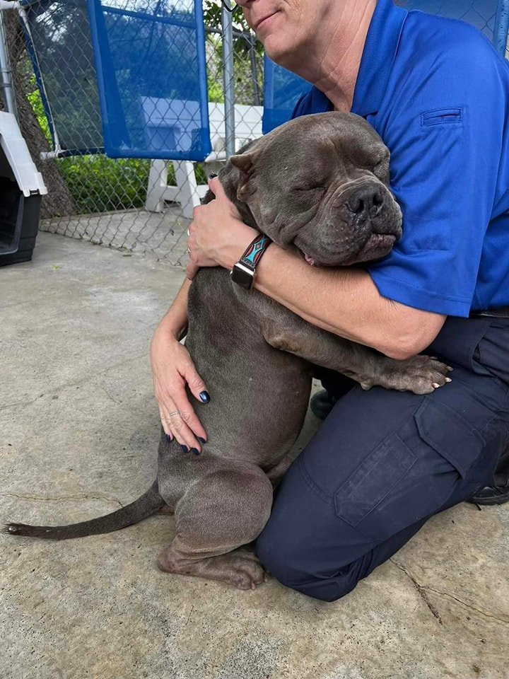 Please don't move around without giving him some love! 💞🐾