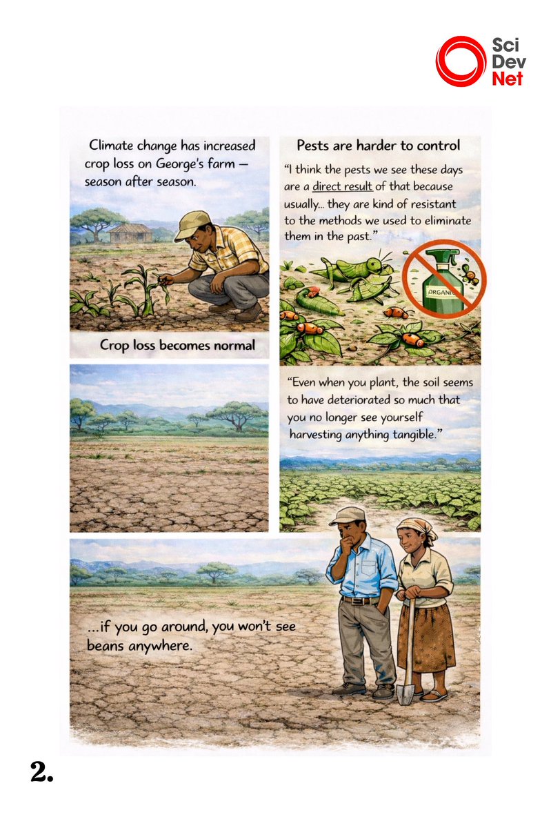 SciDev.Net SS Africa tweet media