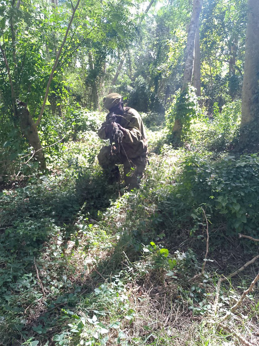 EjrcitoOrienta1's tweet photo. Como parte de las actividades de incremento de la preparación combativa, Unidades de Tropas Especiales de la Región Militar de Granma realizaron clases combinadas y entrenamientos bajo diferentes condiciones de la situación.
#FARCuba 
#CubaEstáFirme https://t.co/M5oydDmGtL