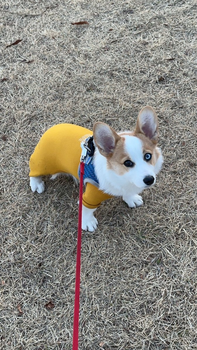 luuke0909's tweet image. 