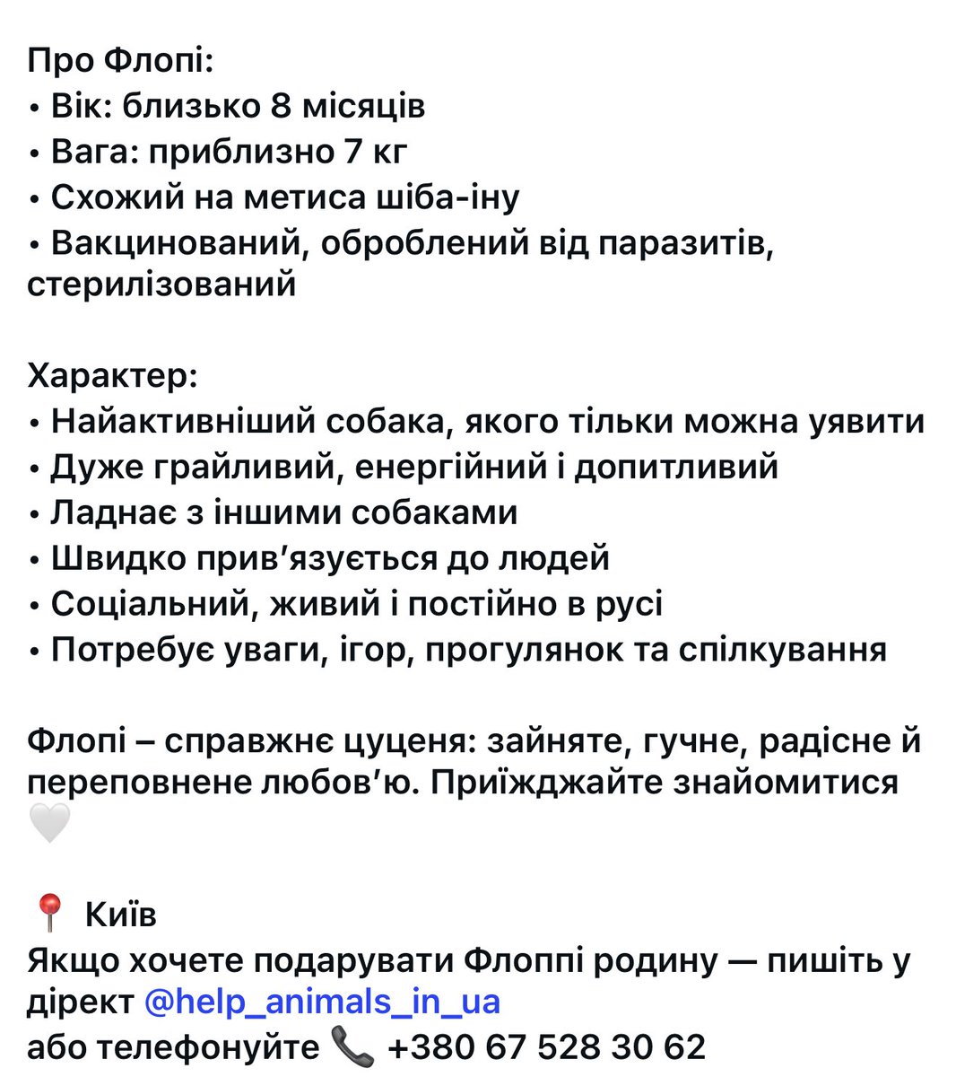 друзи, заберіть флопі🥹