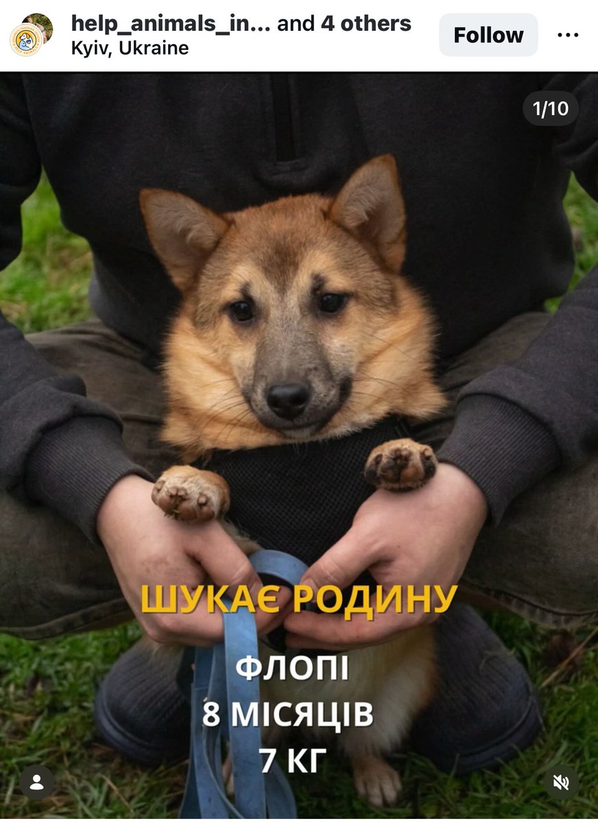 mariaorestivna's tweet image. друзи, заберіть флопі🥹