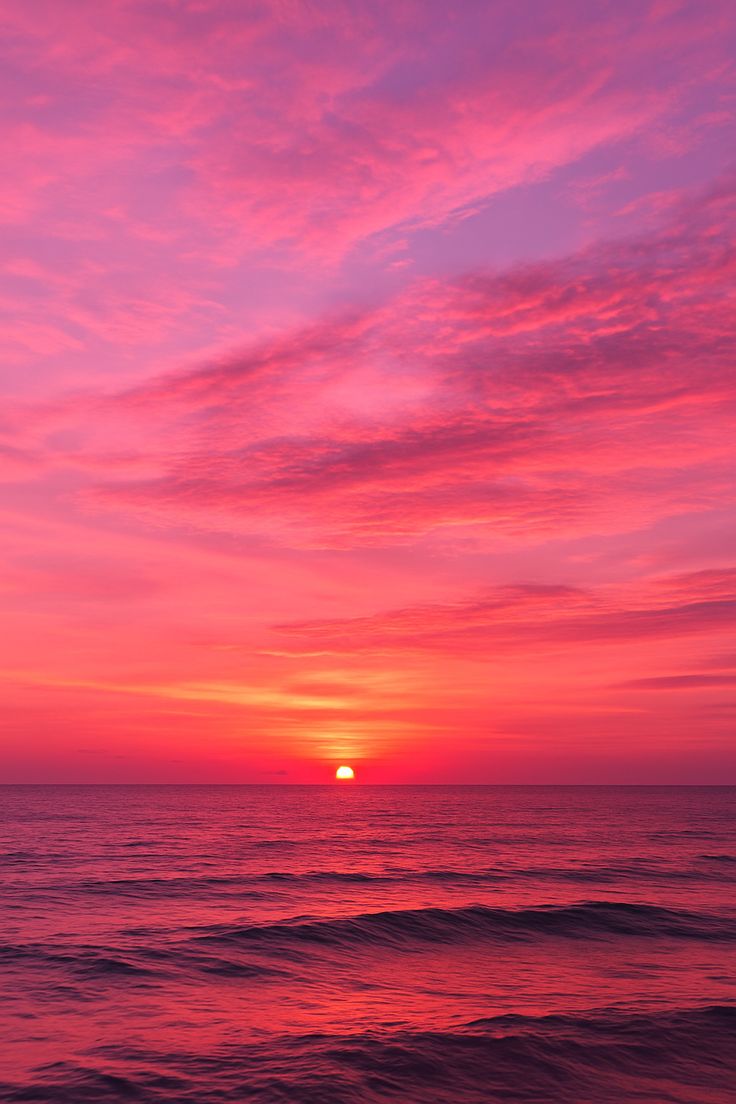LOVLEY__2's tweet photo. Codex is like the sunrise a rising sun  Every day brings new light  new hope and new on chain possibilities. Pink skies reminding me why we build.. 
@codexfx let's keep chasing this glow together.

#PinkSunset #Codex #OnChainFX #CryptoIndia #Web3 #Stablecoins