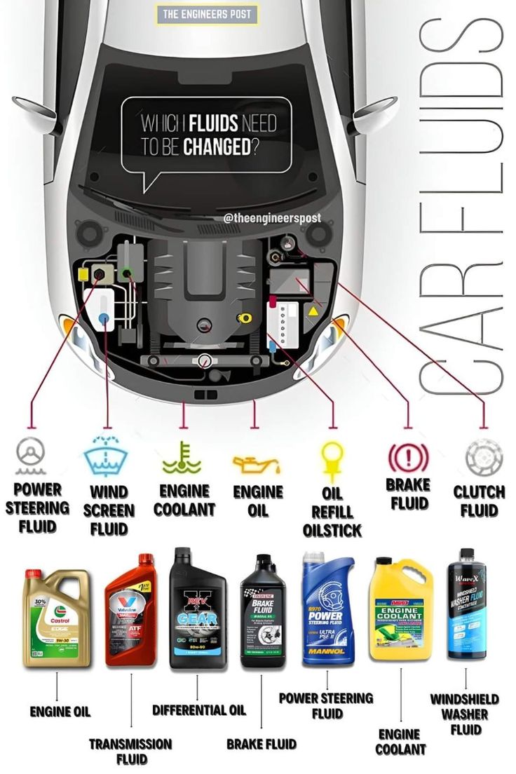 HorifyingPeople's tweet image. Know your car fluid points