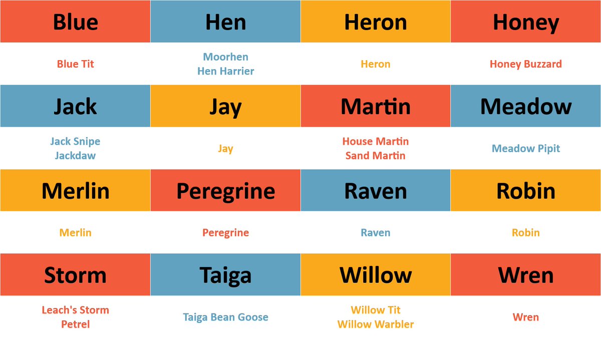 Stikins Name Labels tweet media