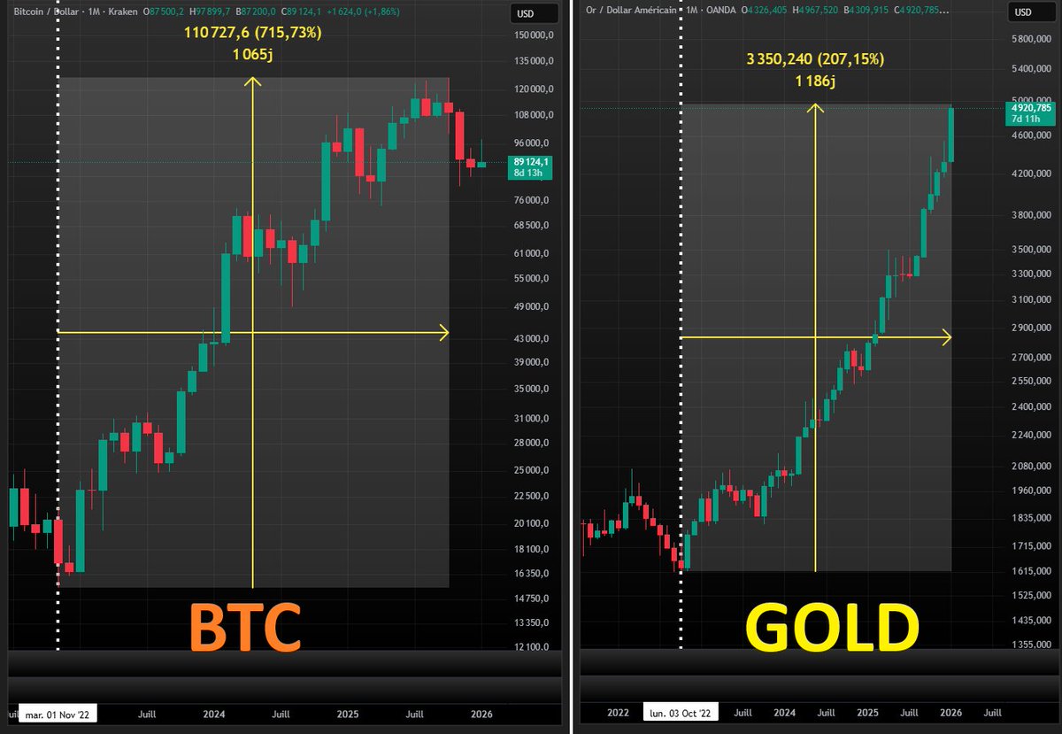 Deep Whale tweet media