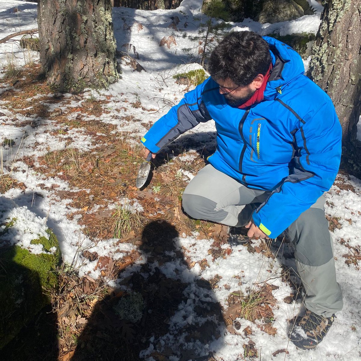 pertierralab's tweet photo. 🥾🌿 El otro día estuvimos en la Sierra de Guadarrama recogiendo muestras de suelo para estudiar la fauna edáfica de alta montaña de la CAM con el proyecto KryosLink 🐜🔬 Suelo, biodiversidad y mucha ciencia bajo nuestros pies! @PolarCSIC @mncn_csic https://t.co/d0E2w6u38k
