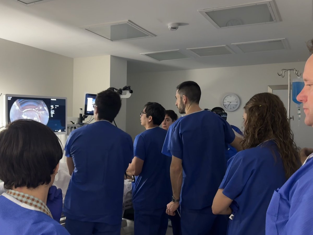 PolicliGipuzkoa's tweet photo. 🌟 Éxito del III Curso #ENDOnosti

🥼 Cerca de 200 especialistas en Aparato Digestivo han participado en dos jornadas de formación hands on y casos clínicos en directo sobre endoscopia avanzada, coordinadas por nuestros doctores Juan Arenas y Francisco Zozaya. https://t.co/oXtrm7Mx0P